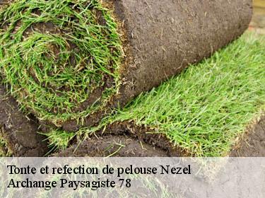 Tonte et refection de pelouse  nezel-78410 Archange Paysagiste 78