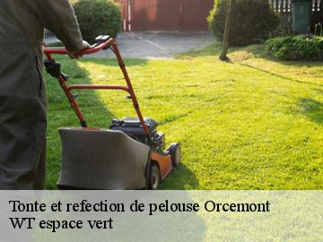 Tonte et refection de pelouse orcemont-78125 WT espace vert