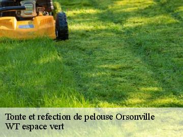 Tonte et refection de pelouse orsonville-78660 WT espace vert
