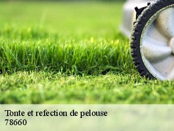 Tonte et refection de pelouse 78660