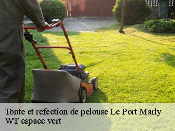 Tonte et refection de pelouse le-port-marly-78560 WT espace vert