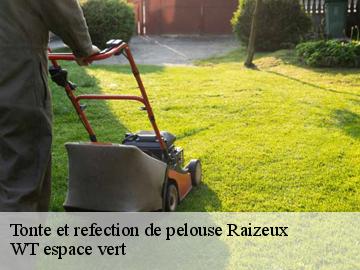 Tonte et refection de pelouse raizeux-78125 WT espace vert