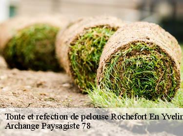 Tonte et refection de pelouse  rochefort-en-yvelines-78730 Archange Paysagiste 78