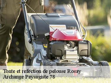 Tonte et refection de pelouse  rosay-78790 Archange Paysagiste 78