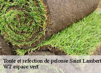 Tonte et refection de pelouse  saint-lambert-78470 Archange Paysagiste 78