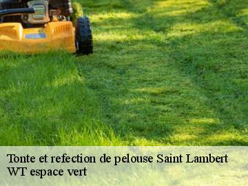 Tonte et refection de pelouse  saint-lambert-78470 Archange Paysagiste 78