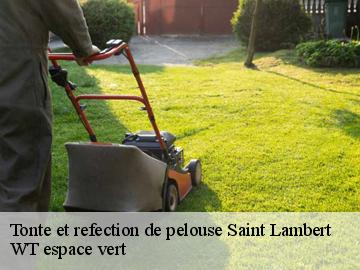 Tonte et refection de pelouse  saint-lambert-78470 Archange Paysagiste 78