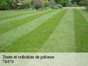 Tonte et refection de pelouse  saint-lambert-78470 Archange Paysagiste 78