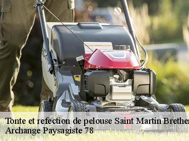 Tonte et refection de pelouse  saint-martin-brethencourt-78660 Archange Paysagiste 78