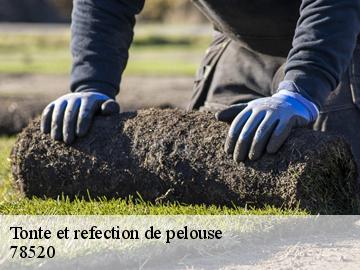Tonte et refection de pelouse saint-martin-la-garenne-78520 WT espace vert