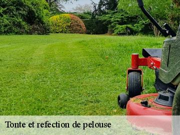 Tonte et refection de pelouse sainte-mesme-78730 WT espace vert