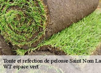 Tonte et refection de pelouse  saint-nom-la-breteche-78860 Archange Paysagiste 78