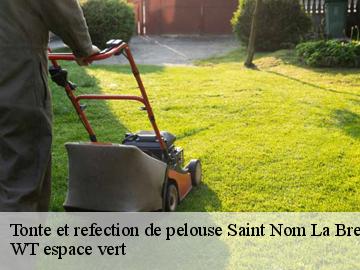 Tonte et refection de pelouse  saint-nom-la-breteche-78860 Archange Paysagiste 78