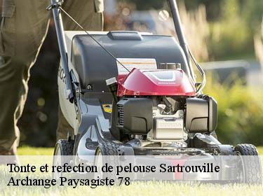 Tonte et refection de pelouse  sartrouville-78500 Archange Paysagiste 78