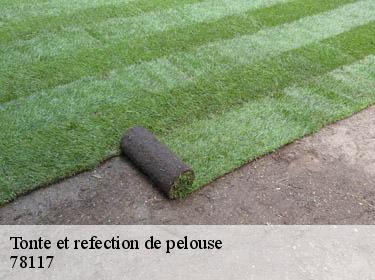 Tonte et refection de pelouse  toussus-le-noble-78117 Archange Paysagiste 78