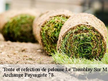 Tonte et refection de pelouse  le-tremblay-sur-mauldre-78490 Archange Paysagiste 78