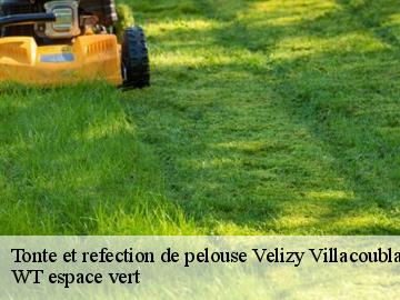 Tonte et refection de pelouse velizy-villacoublay-78140 WT espace vert