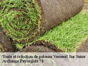 Tonte et refection de pelouse  verneuil-sur-seine-78480 Archange Elagage