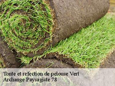 Tonte et refection de pelouse  vert-78930 Archange Paysagiste 78