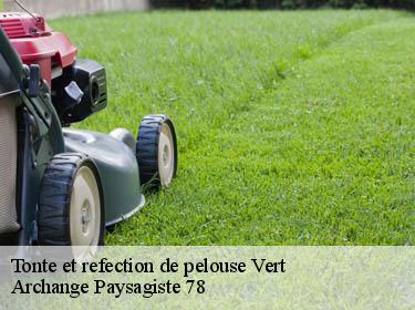 Tonte et refection de pelouse  vert-78930 Archange Paysagiste 78