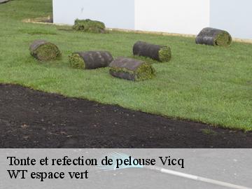 Tonte et refection de pelouse vicq-78490 WT espace vert