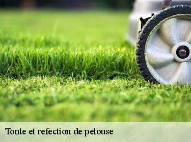 Tonte et refection de pelouse  villennes-sur-seine-78670 Archange Paysagiste 78