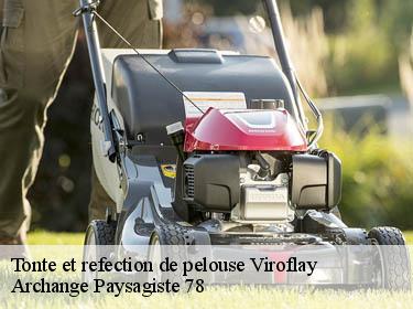Tonte et refection de pelouse  viroflay-78220 Archange Paysagiste 78