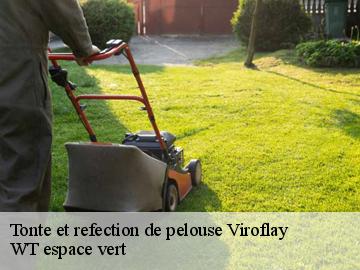 Tonte et refection de pelouse viroflay-78220 WT espace vert