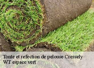 Tonte et refection de pelouse cressely-78114 WT espace vert