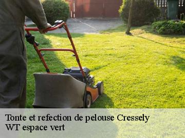 Tonte et refection de pelouse cressely-78114 WT espace vert