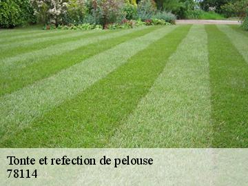 Tonte et refection de pelouse cressely-78114 WT espace vert