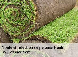Tonte et refection de pelouse hautil-78510 WT espace vert