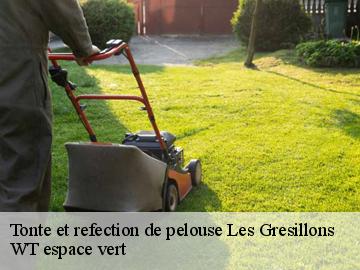 Tonte et refection de pelouse les-gresillons-78955 WT espace vert