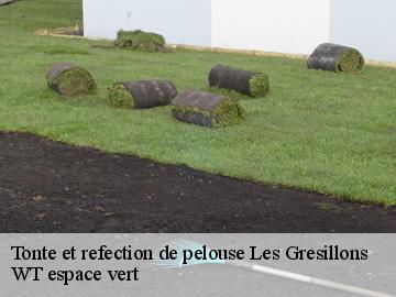 Tonte et refection de pelouse les-gresillons-78955 WT espace vert