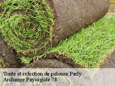 Tonte et refection de pelouse  parly-78150 Archange Paysagiste 78