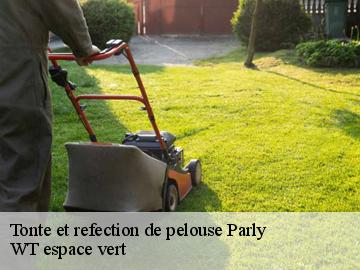 Tonte et refection de pelouse parly-78150 WT espace vert