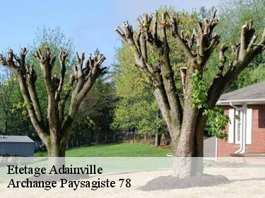 Etetage  adainville-78113 Archange Paysagiste 78
