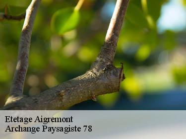 Etetage  aigremont-78240 Archange Paysagiste 78