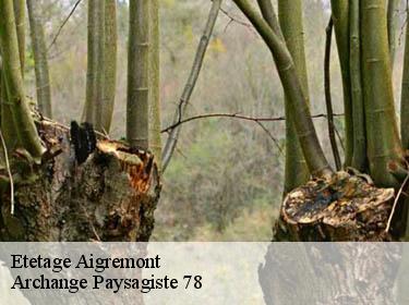 Etetage  aigremont-78240 Archange Paysagiste 78