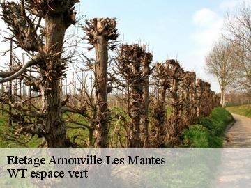 Etetage arnouville-les-mantes-78790 WT espace vert