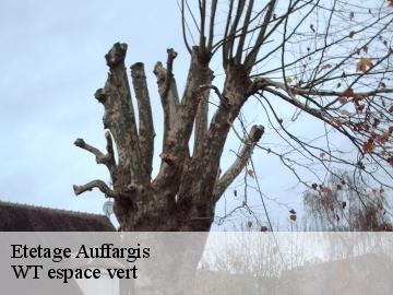 Etetage auffargis-78610 WT espace vert