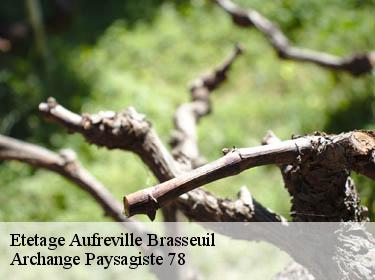 Etetage  aufreville-brasseuil-78930 Archange Paysagiste 78