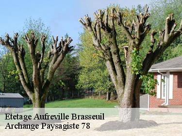 Etetage  aufreville-brasseuil-78930 Archange Paysagiste 78