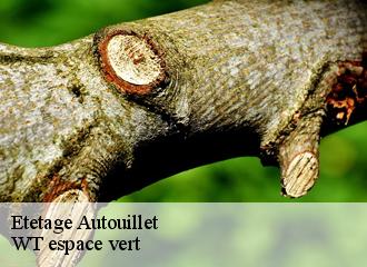 Etetage autouillet-78770 Archange Paysagiste 78