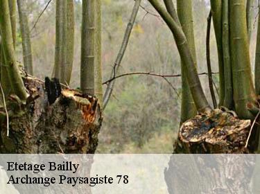 Etetage  bailly-78870 Archange Paysagiste 78
