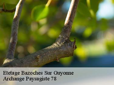 Etetage  bazoches-sur-guyonne-78490 Archange Paysagiste 78