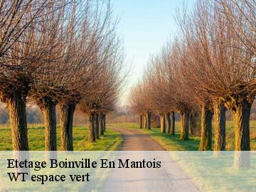 Etetage boinville-en-mantois-78930 WT espace vert