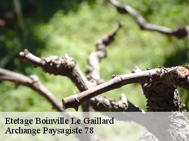 Etetage  boinville-le-gaillard-78660 Archange Paysagiste 78