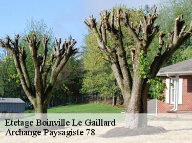 Etetage  boinville-le-gaillard-78660 Archange Paysagiste 78