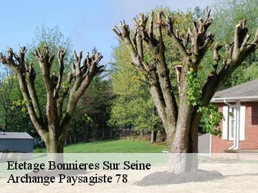 Etetage  bonnieres-sur-seine-78270 Archange Paysagiste 78